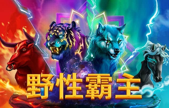 3y体育app下载